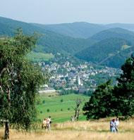 Blick auf Willingen im Sommer
